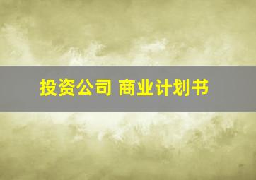 投资公司 商业计划书